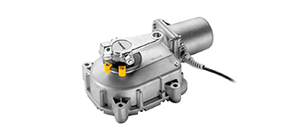 Nesená brány pro rodinné domy pohony DU.IT24NVE