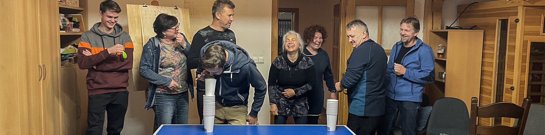 vrata novák vrata a brány pro váš byznys